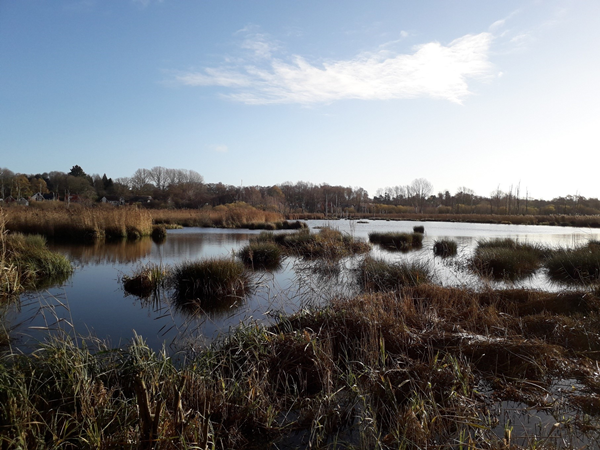 Abbotswood LNR